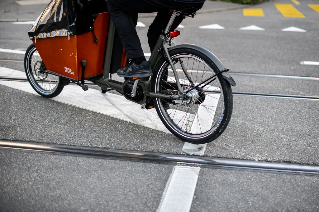 SCHWALBE Pneu BIG BEN Plus 20"x2.15